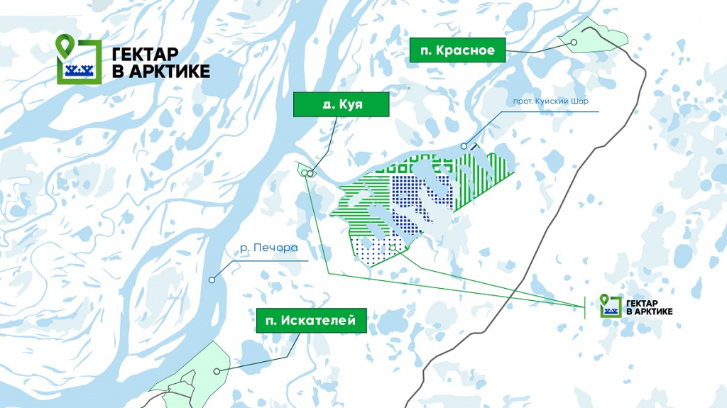 Гектар в Арктике.jpg